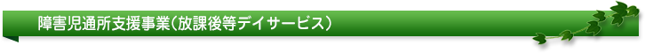 障害児通所支援事業（放課後等デイサービス）