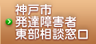 神戸市発達障害者東部相談窓口