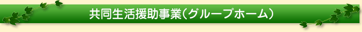 共同生活援助事業（グループホーム）